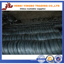 AISI Electro Galvanized Iron Wire with Different Package